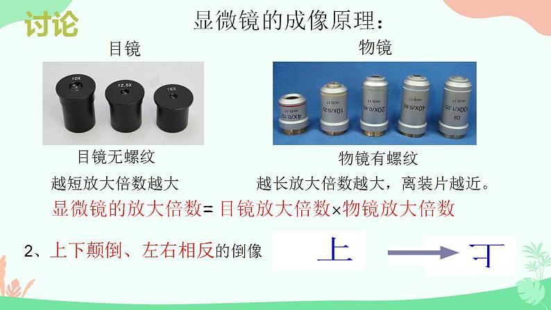 【核心素养】人教版高中生物必修一1.2《细胞的多样性和统一性》课件＋课时练习＋教案（含教学反思）05