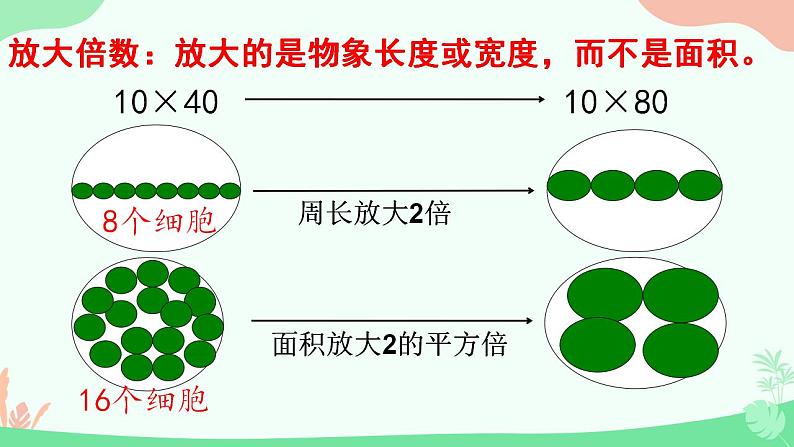 【核心素养】人教版高中生物必修一1.2《细胞的多样性和统一性》课件＋课时练习＋教案（含教学反思）06