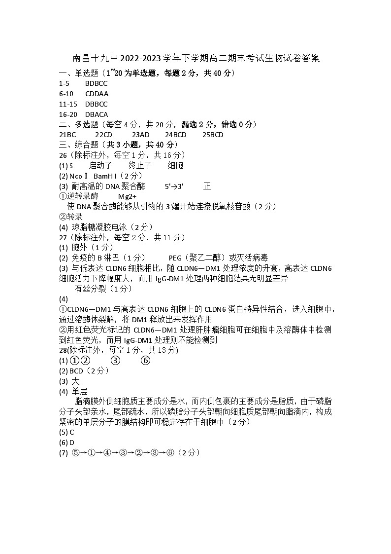 51，江西省南昌市东湖区南昌十九中2022-2023学年高二下学期期末考试生物试卷01