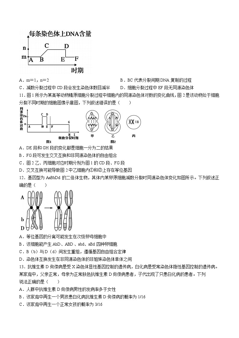 70，山东省枣庄市市中区第三中学2023-2024学年高一下学期3月月考生物试题03