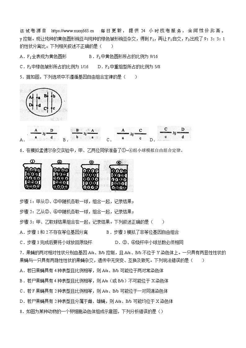 72，吉林省通化市梅河口市第五中学2023-2024学年高一下学期4月月考生物试题(无答案)02