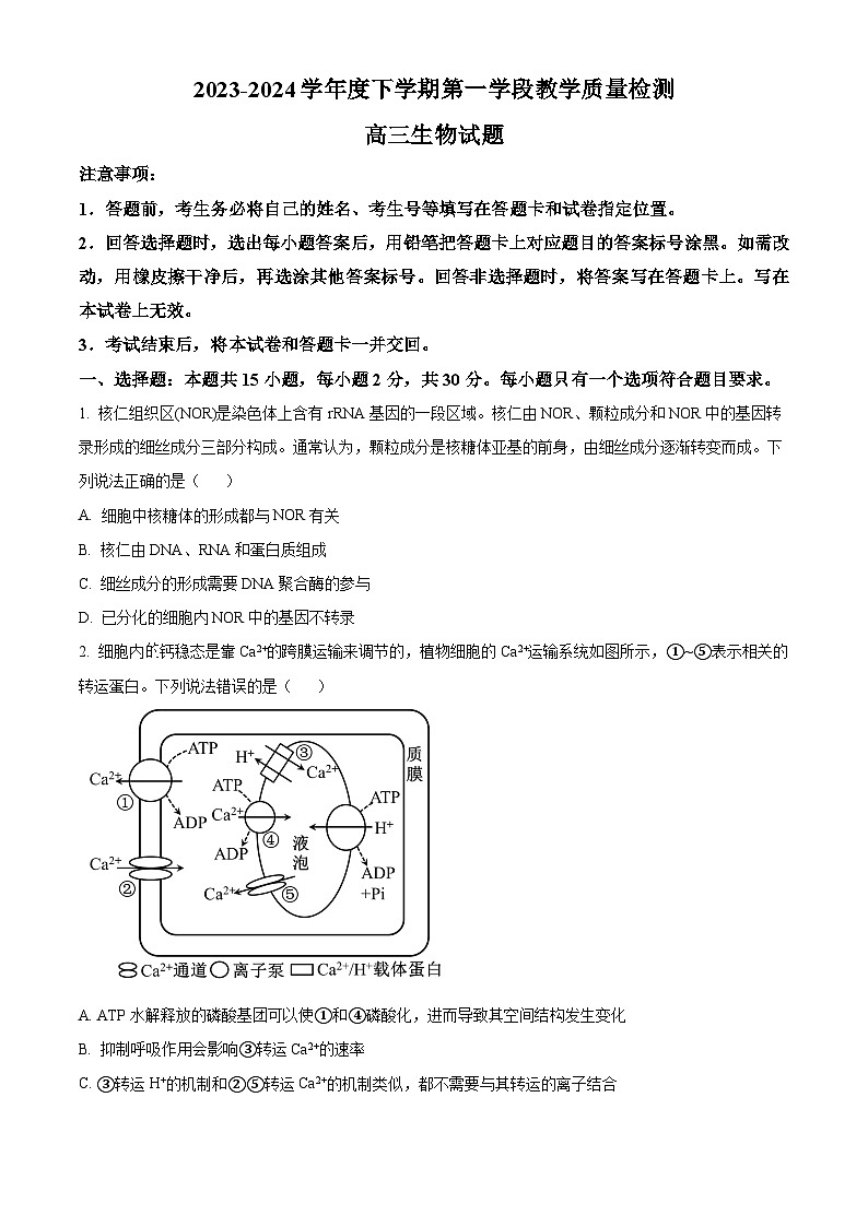 90，山东省济宁市微山县第二中学2023-2024学年高三下学期第一次月考生物试题01