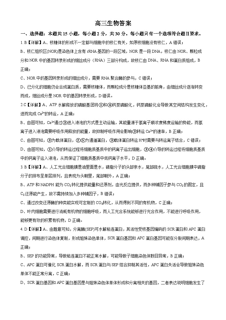 90，山东省济宁市微山县第二中学2023-2024学年高三下学期第一次月考生物试题01