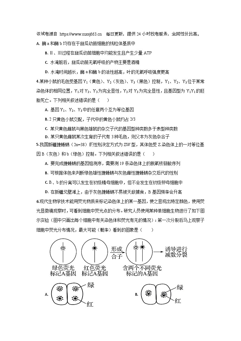 98，海南省海口市第一中学2023-2024学年高三下学期第一次月考生物试题A卷第2页