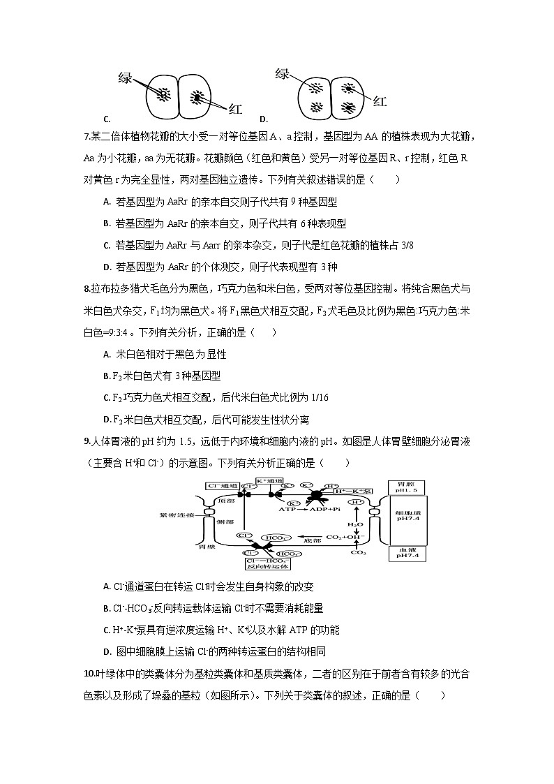 98，海南省海口市第一中学2023-2024学年高三下学期第一次月考生物试题A卷第3页