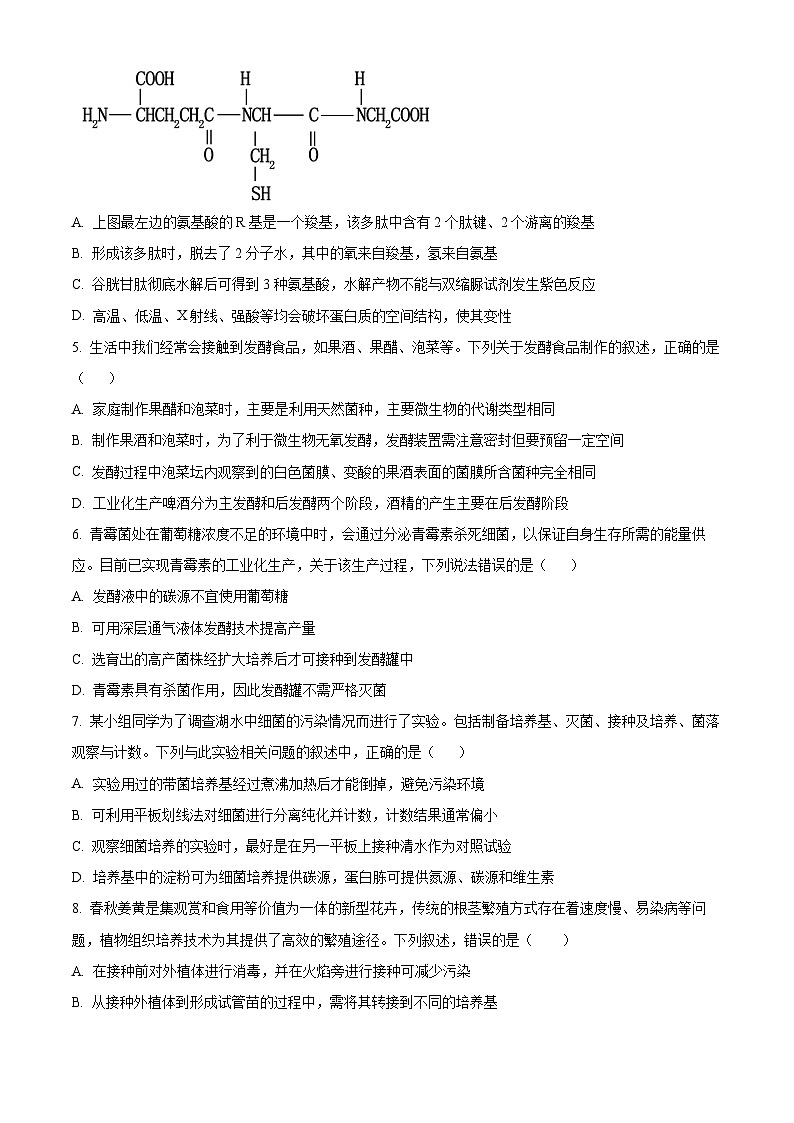 广东省肇庆市肇庆中学2023-2024学年高二下学期期中考试生物试题（原卷版+解析版）02