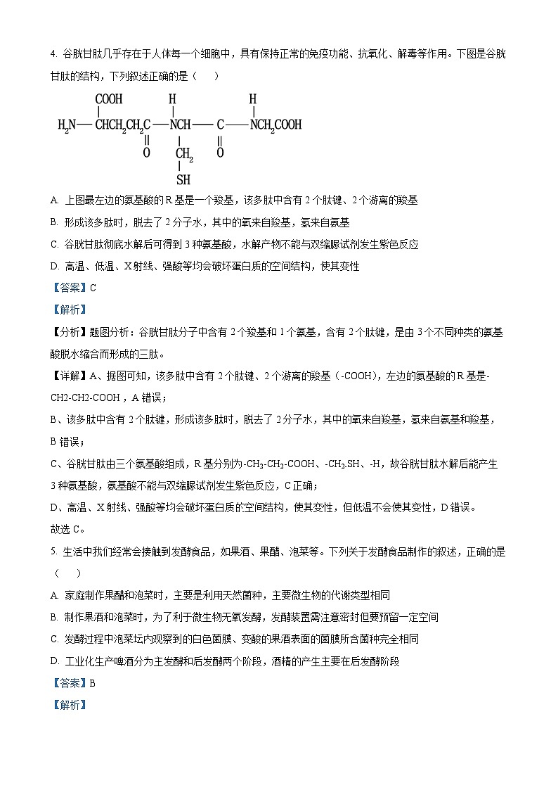 广东省肇庆市肇庆中学2023-2024学年高二下学期期中考试生物试题（原卷版+解析版）03