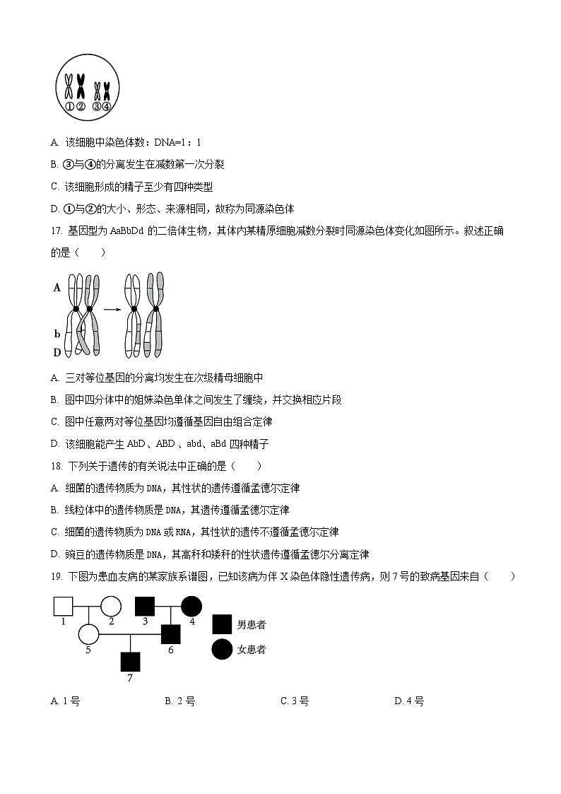 黑龙江省牡丹江市第三高级中学2023-2024学年高一下学期期中考试生物试卷（原卷版+解析版）03