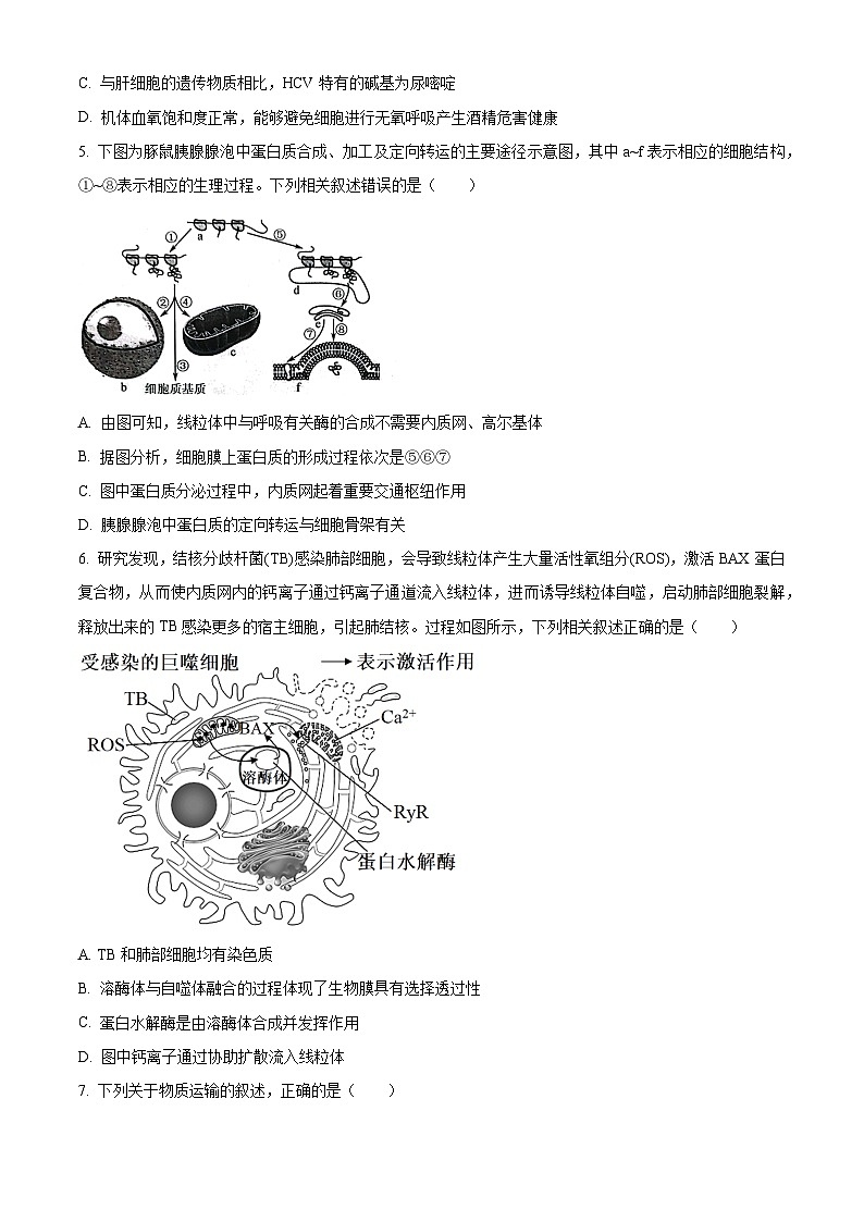 重庆市渝中区巴蜀中学校2023-2024学年高一下学期5月期中生物试题（原卷版）第2页