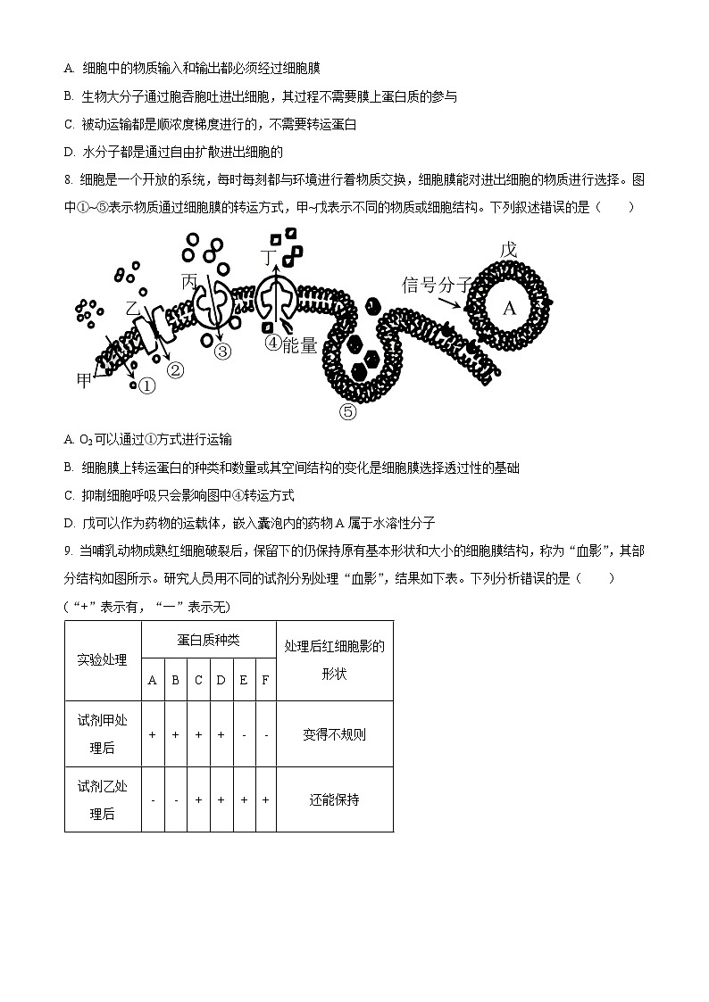 重庆市渝中区巴蜀中学校2023-2024学年高一下学期5月期中生物试题（原卷版）第3页