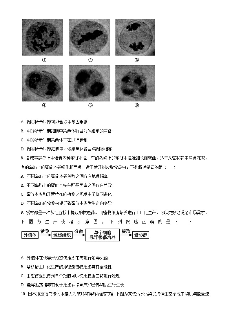 福建省厦门市2024届高三联考模拟预测生物试卷（Word版附答案）03