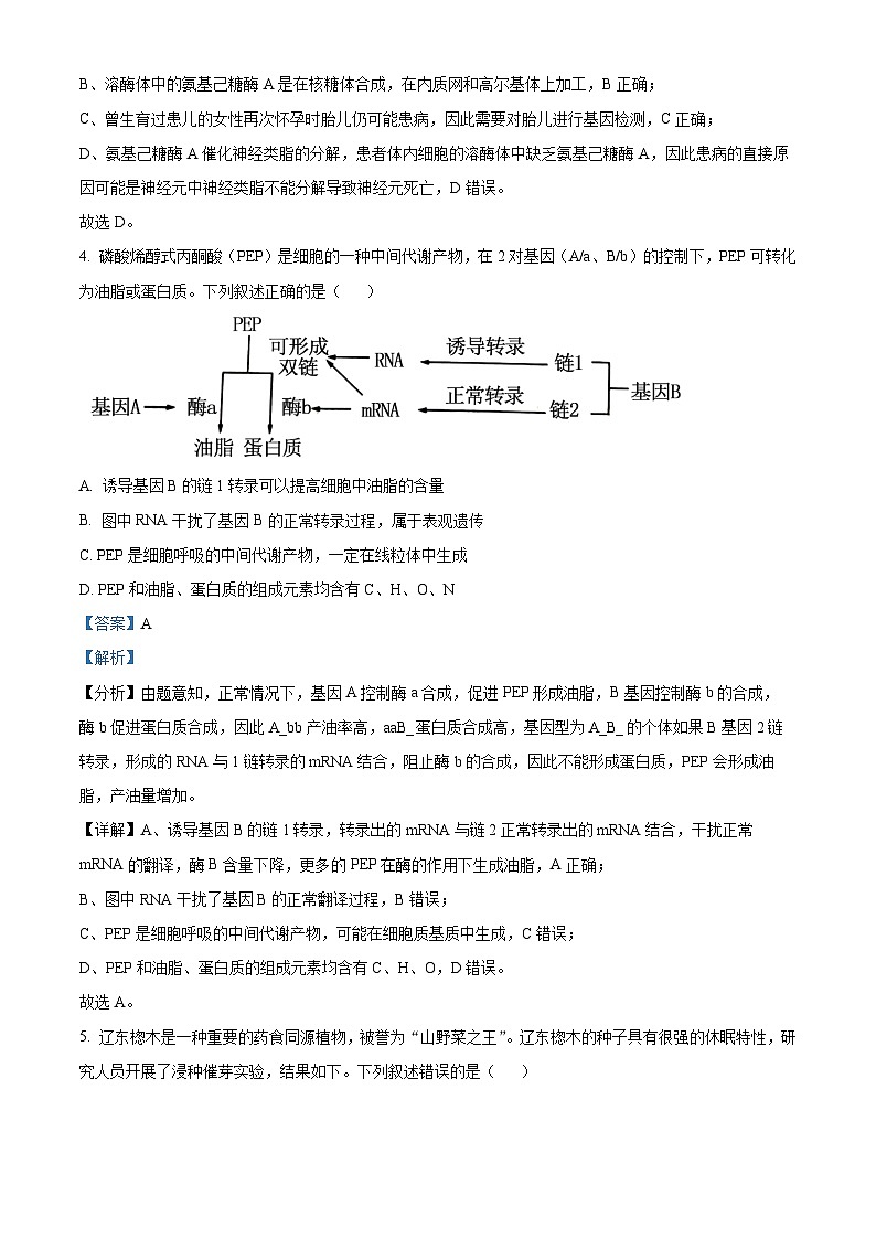 福建省厦门市2024届高三联考模拟预测生物试卷（Word版附答案）03