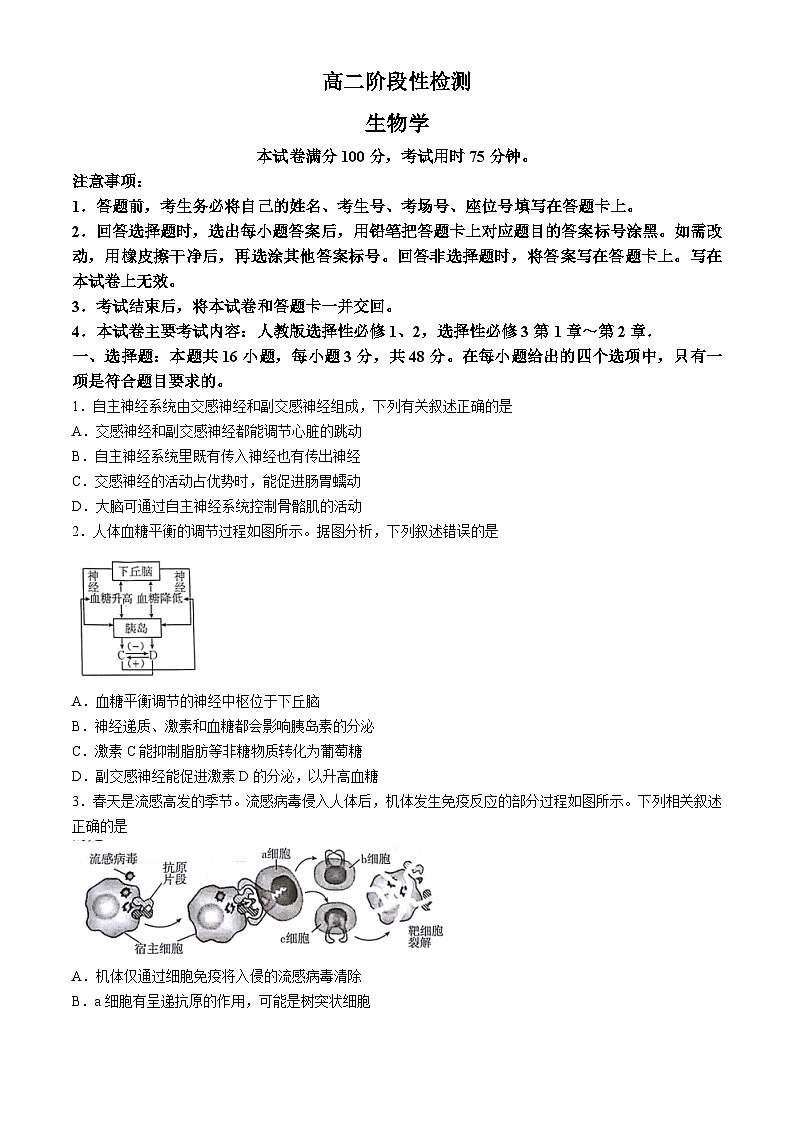 甘肃省白银市2023-2024学年高二下学期5月期中考试生物试卷（Word版附答案）01