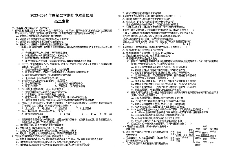甘肃省武威市凉州区2023-2024学年高二下学期期中考试生物试卷（Word版附答案）01
