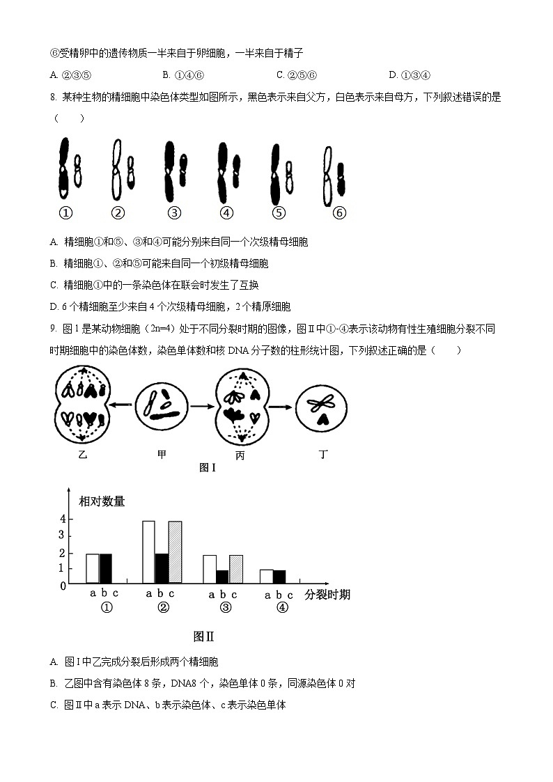 河北省邢台市第一中学2023-2024学年高一下学期5月期中考试生物试卷（Word版附解析）03