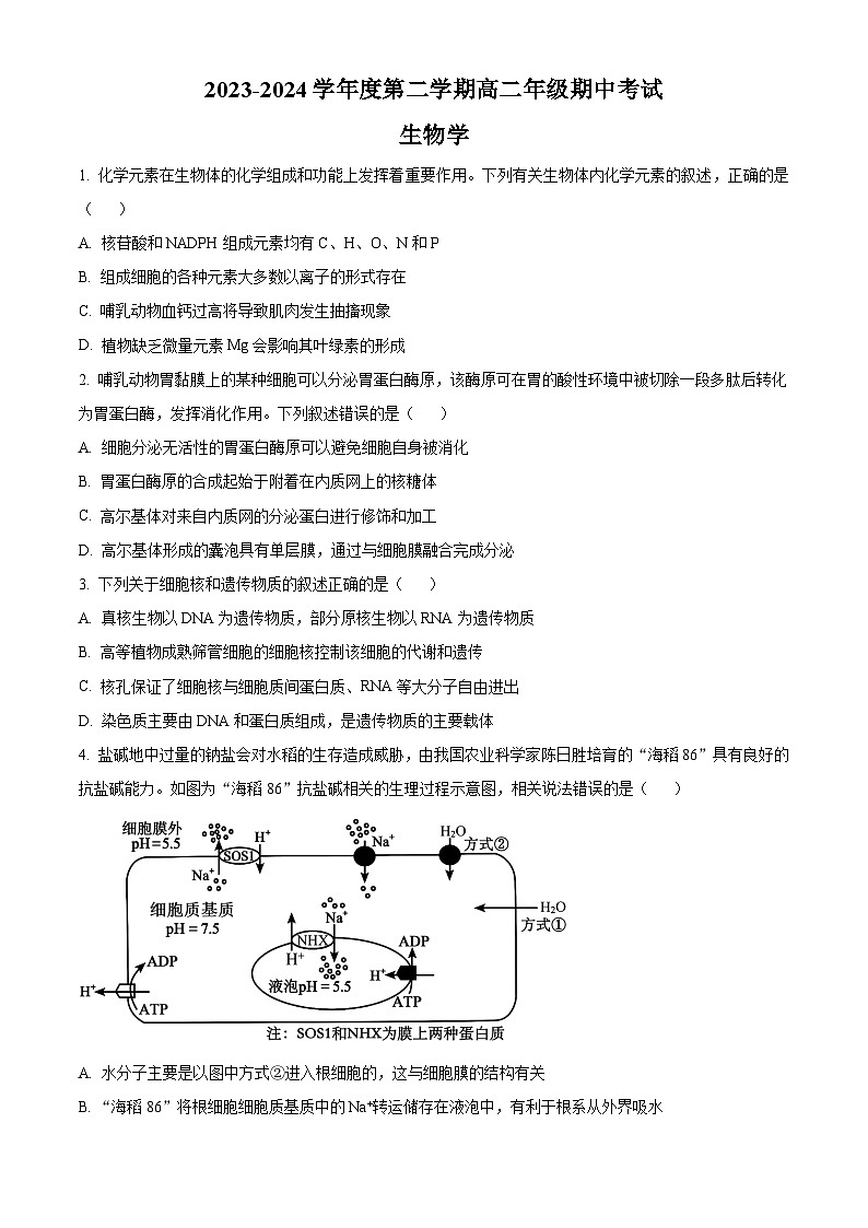 江苏省南通市海安高级中学2023-2024学年高二下学期期中考试生物试卷（Word版附解析）01