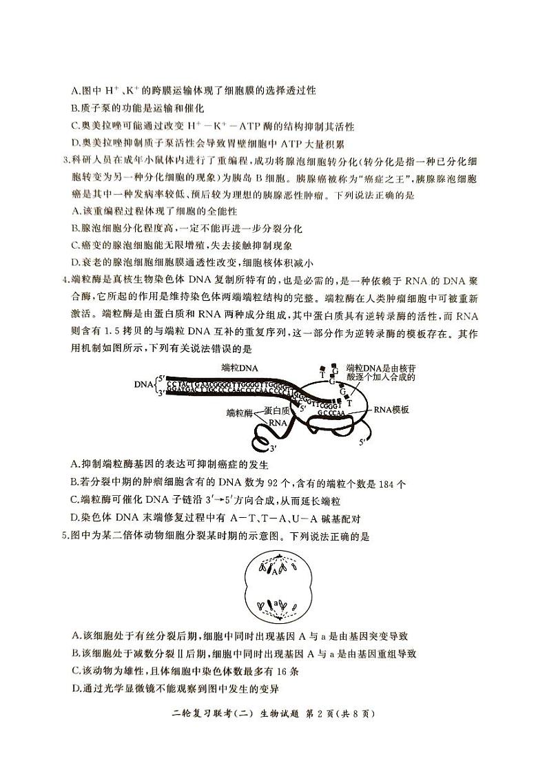 2024百师联盟高三下学期二轮复习联考（二）（新高考卷）生物PDF版含解析第2页