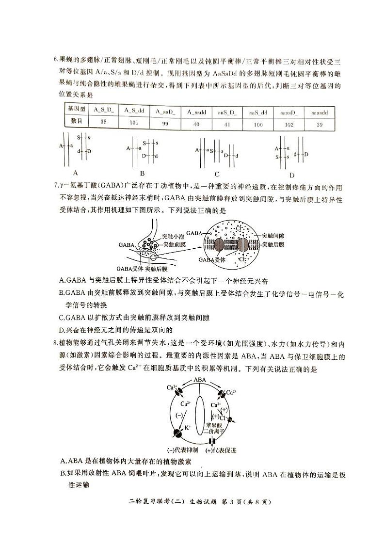 2024百师联盟高三下学期二轮复习联考（二）（新高考卷）生物PDF版含解析第3页