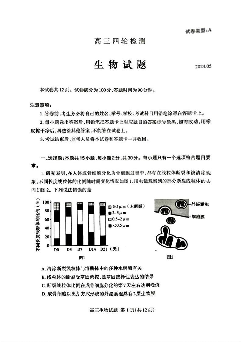 山东省泰安市2024年(届)高三年级四轮检测(泰安四模)生物试卷+答案01