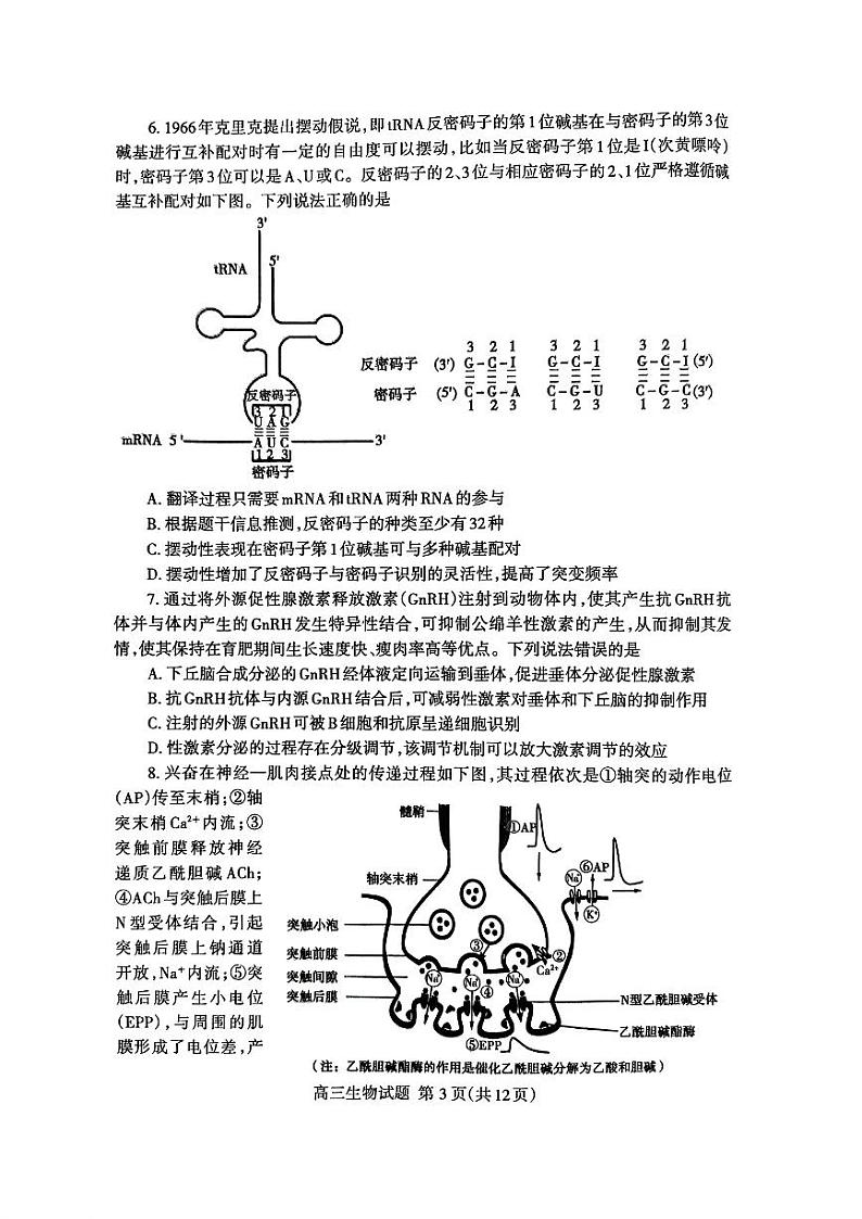 山东省泰安市2024年(届)高三年级四轮检测(泰安四模)生物试卷+答案03
