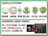 人教版（2019）必修一2.3 细胞中的糖类和脂质课件PPT