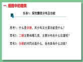 人教版（2019）必修一2.3 细胞中的糖类和脂质课件PPT
