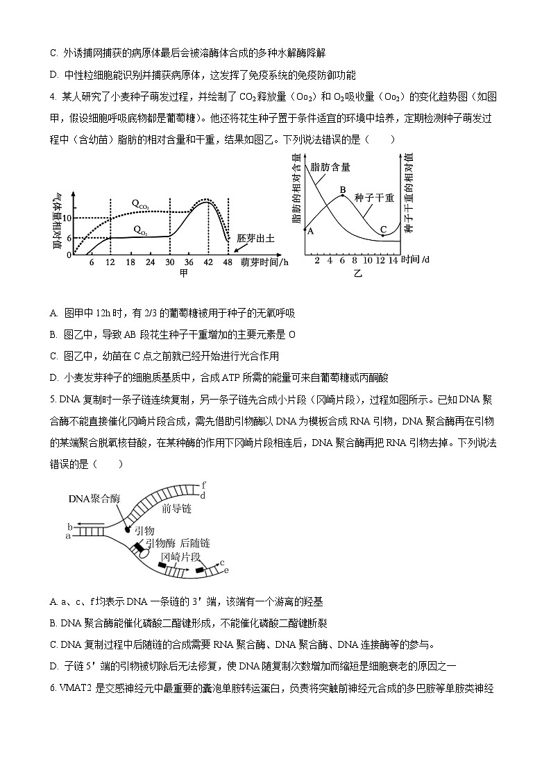 2024届河北省承德市部分示范性高中高三下学期二模生物试题（原卷版+解析版）02