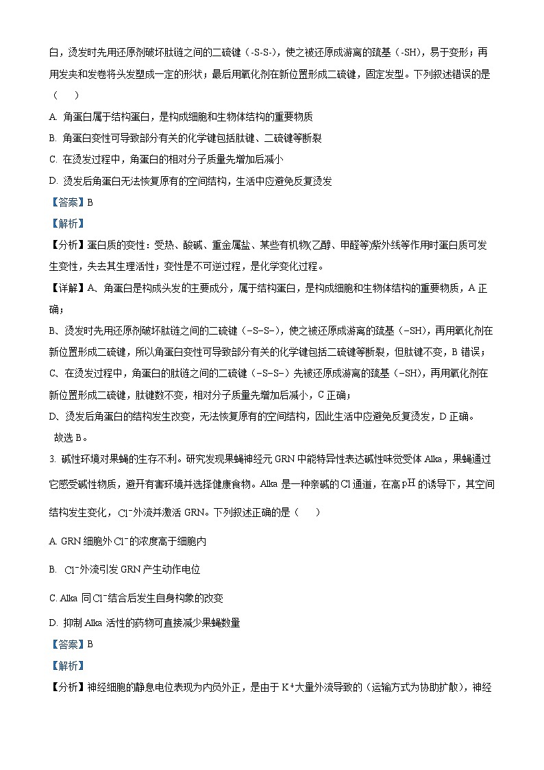 2024届湖北省武汉市武昌区高三二模联考生物试题（原卷版+解析版）02