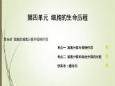 2025届高考 一轮复习 人教版　细胞的减数分裂和受精作用课件  （江苏版）