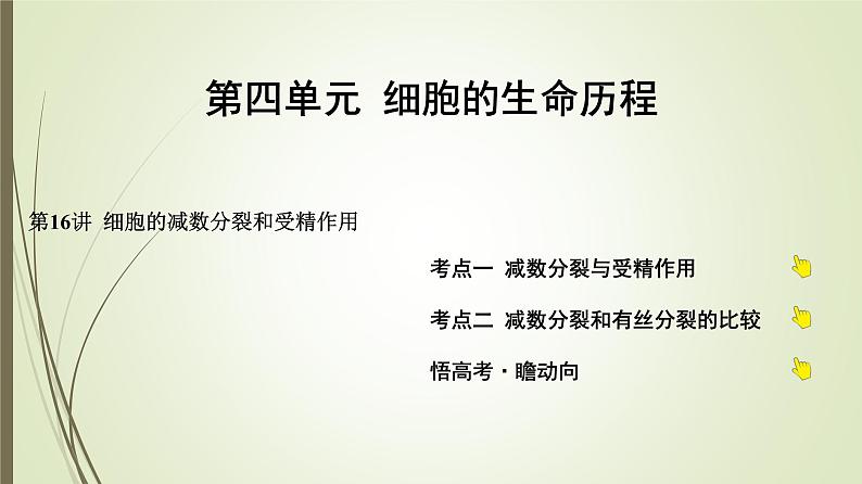 2025届高考 一轮复习 人教版　细胞的减数分裂和受精作用课件  （江苏版）01