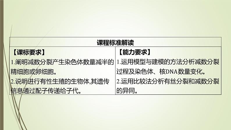 2025届高考 一轮复习 人教版　细胞的减数分裂和受精作用课件  （江苏版）02