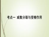 2025届高考 一轮复习 人教版　细胞的减数分裂和受精作用课件  （江苏版）
