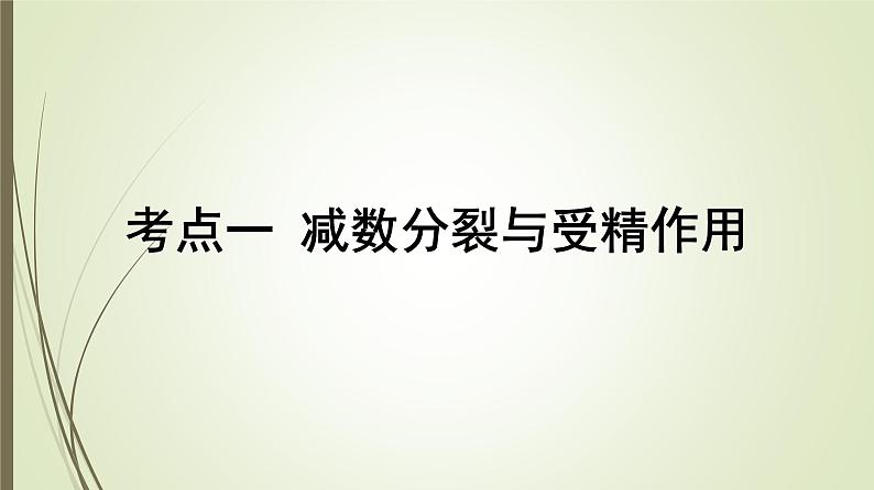 2025届高考 一轮复习 人教版　细胞的减数分裂和受精作用课件  （江苏版）03