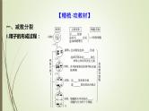 2025届高考 一轮复习 人教版　细胞的减数分裂和受精作用课件  （江苏版）