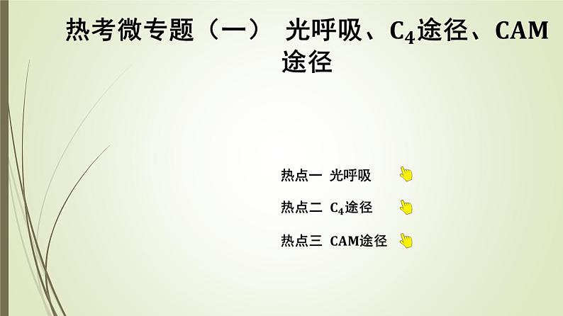 2025届高考 一轮复习 人教版　  光呼吸、C4途径、CAM途径课件 （江苏版）01