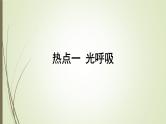 2025届高考 一轮复习 人教版　  光呼吸、C4途径、CAM途径课件 （江苏版）