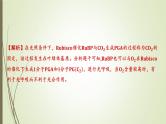 2025届高考 一轮复习 人教版　  光呼吸、C4途径、CAM途径课件 （江苏版）