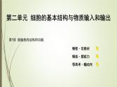 2025届高考 一轮复习 人教版　细胞核的结构和功能 课件（江苏版）