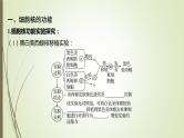 2025届高考 一轮复习 人教版　细胞核的结构和功能 课件（江苏版）