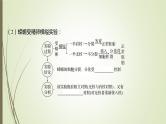 2025届高考 一轮复习 人教版　细胞核的结构和功能 课件（江苏版）