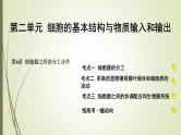2025届高考 一轮复习 人教版　细胞器之间的分工合作 课件 （江苏版）