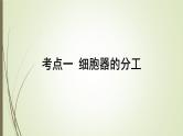 2025届高考 一轮复习 人教版　细胞器之间的分工合作 课件 （江苏版）