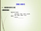 2025届高考 一轮复习 人教版　细胞器之间的分工合作 课件 （江苏版）