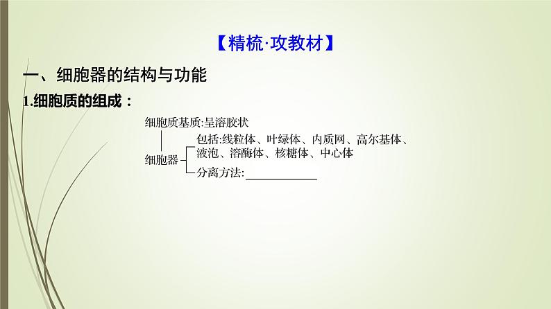 2025届高考 一轮复习 人教版　细胞器之间的分工合作 课件 （江苏版）04