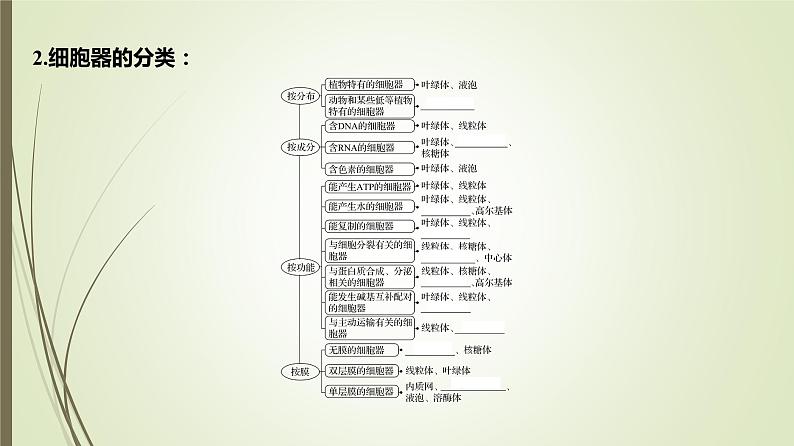 2025届高考 一轮复习 人教版　细胞器之间的分工合作 课件 （江苏版）05