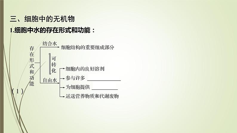 2025届高考 一轮复习 人教版　细胞中的元素、无机物、糖类和脂质 课件  （江苏版）第7页