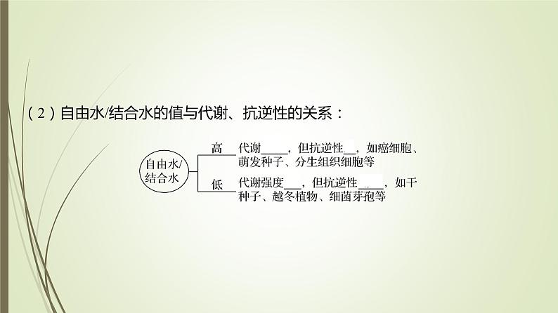 2025届高考 一轮复习 人教版　细胞中的元素、无机物、糖类和脂质 课件  （江苏版）第8页