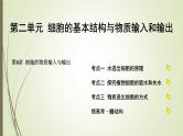 2025届高考 一轮复习 人教版　蛋白质是生命活动的主要承担者 课件  （江苏版） (2)