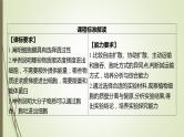 2025届高考 一轮复习 人教版　蛋白质是生命活动的主要承担者 课件  （江苏版） (2)