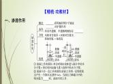 2025届高考 一轮复习 人教版　蛋白质是生命活动的主要承担者 课件  （江苏版） (2)